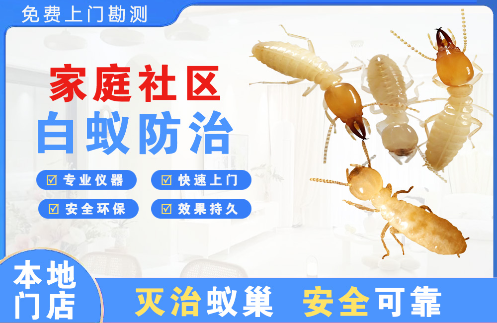 长寿家庭社区白蚁防治