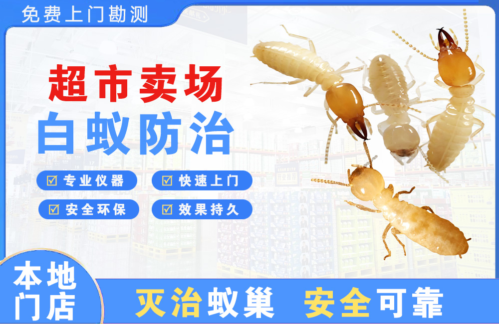 长寿超市卖场白蚁防治