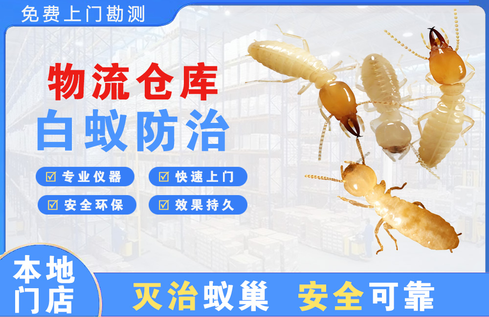 长寿物流仓库白蚁防治