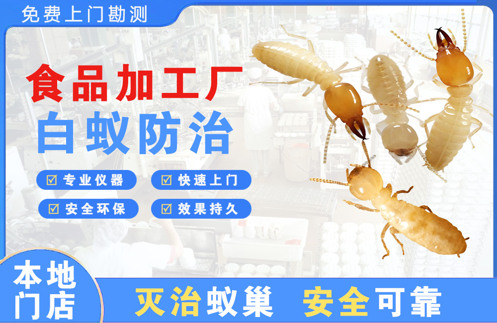 长寿食品加工厂白蚁防治