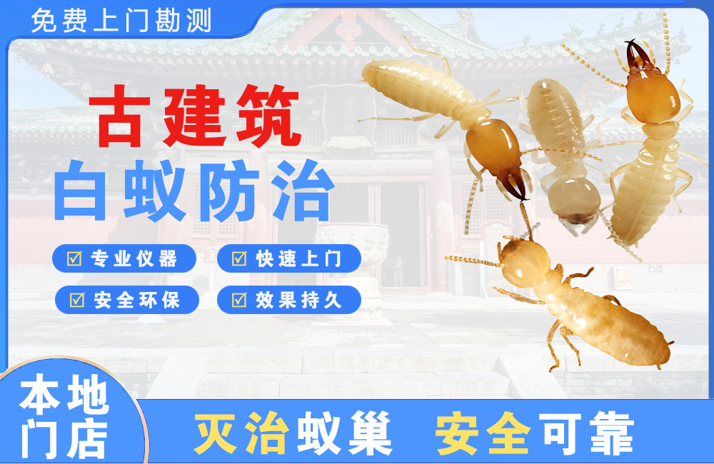 长寿古建筑白蚁防治