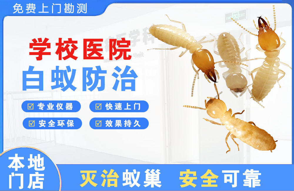 长寿学校医院白蚁防治
