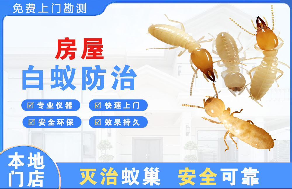 长寿房屋白蚁防治