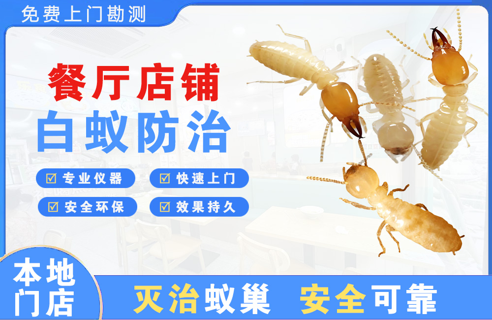 长寿餐厅店铺白蚁防治